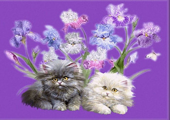 Cute Kitties, cats, flowers, 2 persian kittens, art HD wallpaper