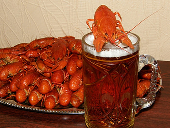 Food, Beer, Crayfish HD wallpaper