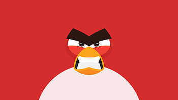 Angry Birds, red, minimal HD wallpaper