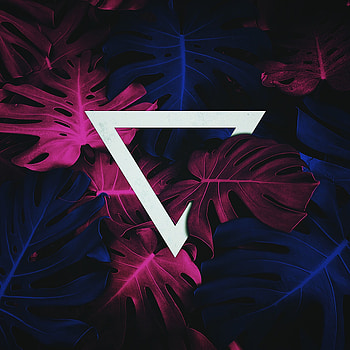 Leaves, Miscellanea, Miscellaneous, Geometric, Triangle, Acute-Angled, Flipped Over, Reverse HD phone wallpaper