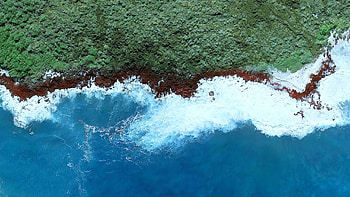 Geographic, coast, beach, forest, nature, aerial view HD wallpaper