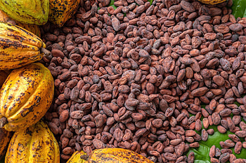 FCC compliant desiccants, Cocoa shipping, Absortech, Guidelines HD wallpaper