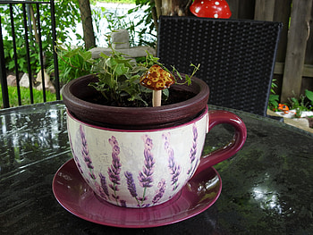 Ivy In A Cup, Abstract, graphy, Cup, Vine, Nature, Ivy HD wallpaper