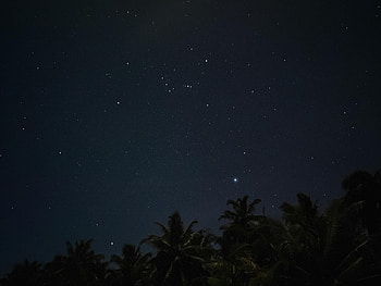 Stars, Night, Palms, Dark, Starry Sky HD wallpaper