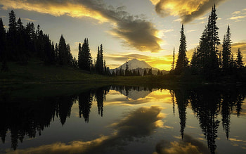 Stunning sunset at Mt. Rainier, Washington, water, reflections, mountain, clouds, trees, sky HD wallpaper