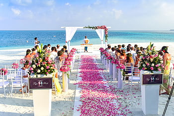 A beautiful outdoor beach wedding setup with rose petals, guests, and ocean view. HD wallpaper