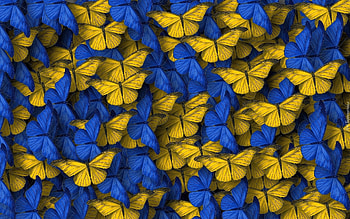 Butterflies for Ukraine, blue, butterflies, colors of Ukraine, yellow HD wallpaper