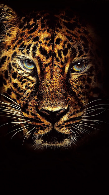 Jungle Animal, Jumanji-inspired , Ferocious jaguar, Movie-inspired art HD phone wallpaper