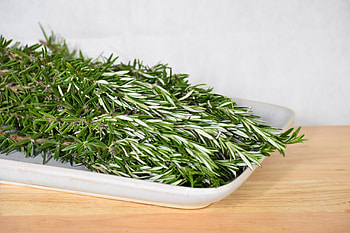 Rosemary riverlea, Rosemary, Riverlea HD wallpaper