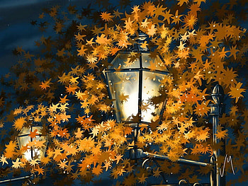 Light among the leaves, night, colors, dusk, nice, painting, trees, autumn, art, fall, beautiful, park, leaves, light, sky, lantern, lovely, evening, foliage HD wallpaper