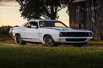 1970-Plymouth-Barracuda, Mopar, White, Muscle, Classic HD wallpaper