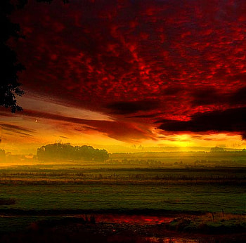 Red sky, morning, field, red, sky, sunrise HD wallpaper