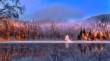 Winter, Lake, Fog, Snow, Shore, Forest HD wallpaper