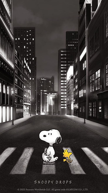 Snoopy, atmosphere, graph HD phone wallpaper