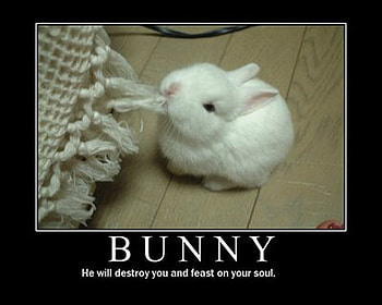 demotional poster, bunny, cute, poster, soul HD wallpaper