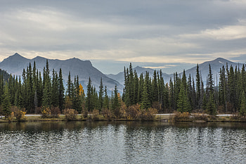 Nature, Trees, Mountains, Autumn, Lake, Fir, Spruce HD wallpaper