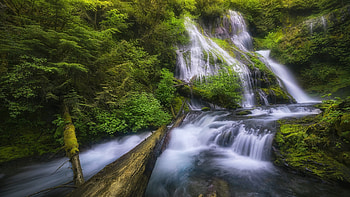 Panther Creek Falls, Washington, trees, cascades, river, rocks, usa HD wallpaper