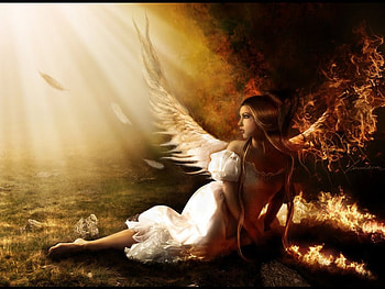 Angel, wings, white, fantasy HD wallpaper