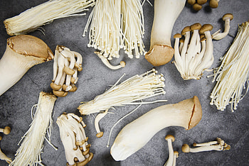 Listera outbreak, linked to enoki mushrooms HD wallpaper