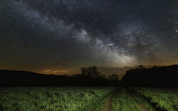 Nature, Grass, Sky, Stars, Night HD wallpaper