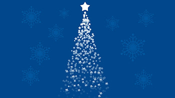 Happy Holidays!, blue, white, craciun, christmas, card, new year, tree HD wallpaper