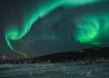 Enchanting aurora borealis illuminating a starry night over a snowy landscape. HD wallpaper