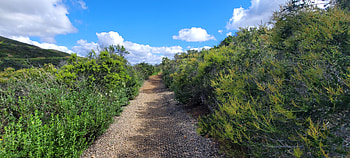 Hiking in Greater San Diego County – Landscape graphy, Southern California, California, landscape, hiking, graphy, nature HD wallpaper