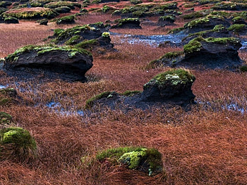 wind rocks , wind, rocks HD wallpaper