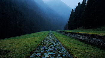 Dark Green wooded Mountain Trail in morning fog, Fog, Cobblestone HD wallpaper