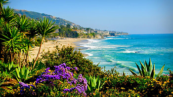 Tropical Coast, sea, coast, tropical, landscape, nature, flowers, forest HD wallpaper