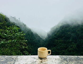 A soothing morning tea in a cup overlooking a misty mountain landscape, perfect for relaxing outdoors. HD wallpaper