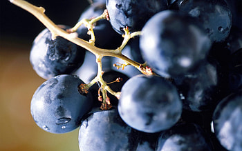 Food, Grapes, Berry, Bunch HD wallpaper