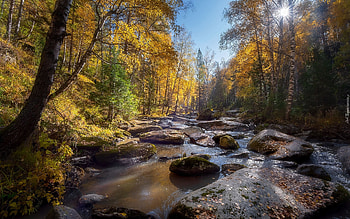 Rocky River, sunbeams, river, forest, rocks, autumn HD wallpaper