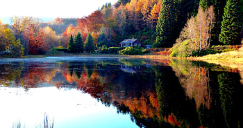 Autumn Lake Landscape, nature, water, lake, reflection autumn, beauty, graphy, Fall, landscape, , trees, forest HD wallpaper