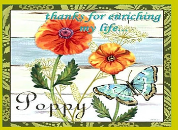 Enriching My Life..., abstract, butterfly, art, poppy, flower, frame, verse HD wallpaper