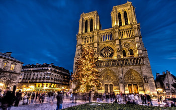 Cities, New Year, Paris, Holiday, France, Square, Christmas Tree, Area, Notre Dame Cathedral, Notre Dame De Paris HD wallpaper
