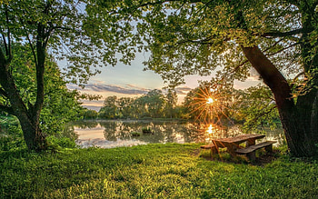 Summer Evening, trees, bench, sunbeams, pond HD wallpaper