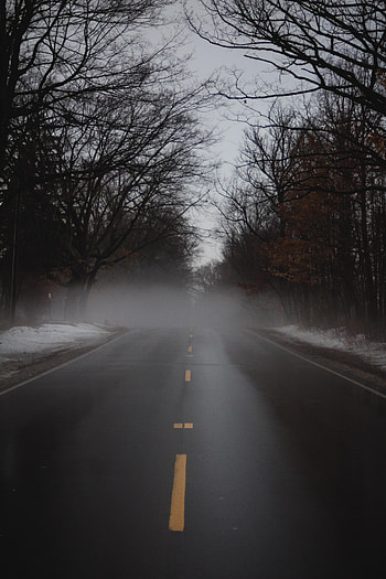 Nature, Trees, Road, Fog, Alley HD phone wallpaper