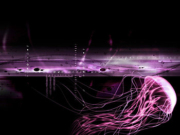 Sum weird purple squid, lalala HD wallpaper