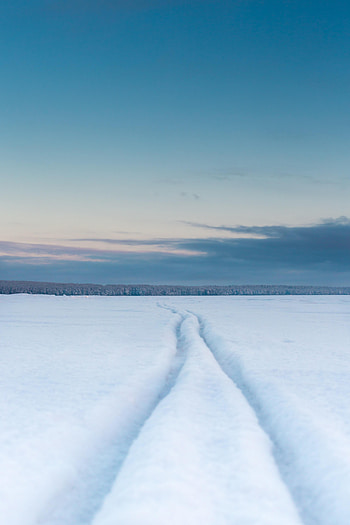Winter, Nature, Snow, Field, Track, Trace HD phone wallpaper