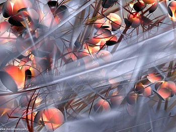Misty Leaves, leaves, flowers, stripes of mist HD wallpaper