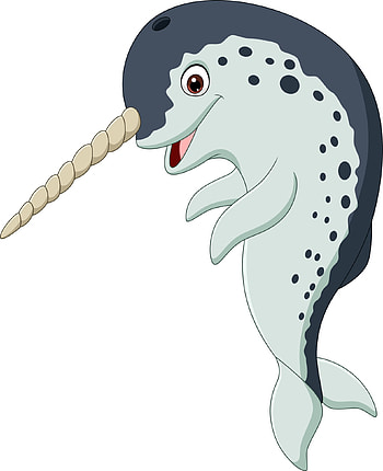 Cartoon narwhal, White background, Vector art, Whimsical illustration HD phone wallpaper