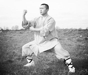 What is Kung Fu, Shaolin cultural heritage, Martial arts philosophy, Ancient wisdom HD wallpaper