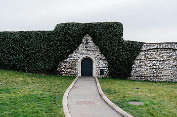 Miscellanea, Miscellaneous, Path, Fence, Stone, Door, Hedge, Ivy HD wallpaper