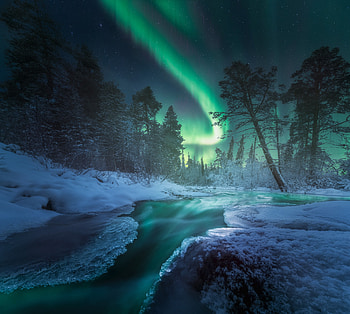 winter, nature, aurora borealis HD wallpaper
