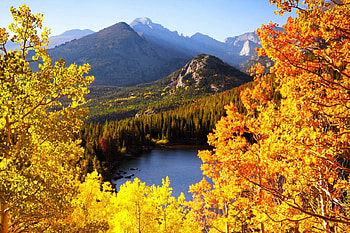 Mountain view, m golden, peaks, nice, shore, trees, autumn, water, fall, landscape, beautiful, lake, mountain, falling, leaves, cliffs, branches, view, nature, sky, lovely, forest, foliage HD wallpaper