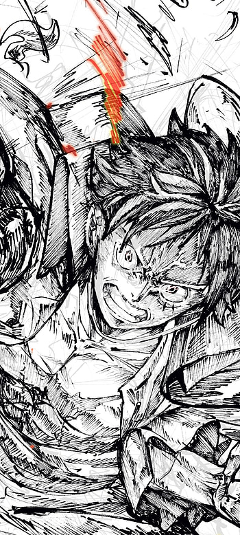 Anime, One Piece HD phone wallpaper