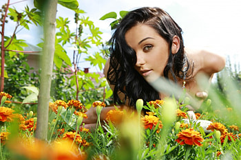 jenya d, PRETTY, BEAUTY, FLOWERS HD wallpaper