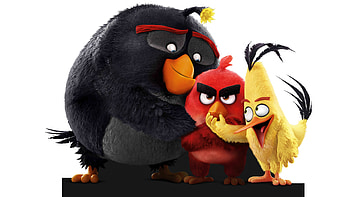 The Angry Birds , angry-birds, birds, movies, animated-movies, 2016-movies, the-angry-birds-movie HD wallpaper