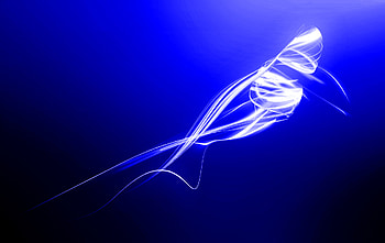 Blue Light, blue, light HD wallpaper